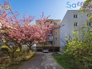 Prodej bytu 3+1, Plzeň, Pod Švabinami, 78 m2
