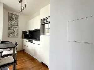 Pronájem bytu 1+kk, Praha, Malešická, 44 m2