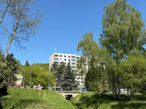 Pronájem bytu 3+1, Litvínov, Mládežnická, 82 m2