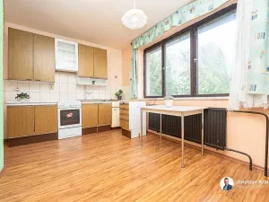 Prodej rodinného domu, Podůlší, 297 m2