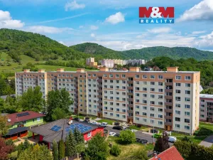 Prodej bytu 1+1, Ústí nad Labem - Neštěmice, Na Výšině, 35 m2
