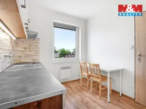 Prodej bytu 1+1, Dymokury - Svídnice, 31 m2
