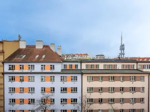 Pronájem bytu 1+1, Praha - Žižkov, Baranova, 49 m2