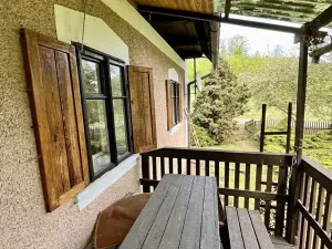 Prodej chalupy, Božanov, 105 m2