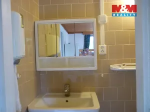 Prodej chaty, Stříbrná Skalice, 48 m2