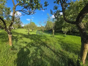 Pronájem zahrady, Dobřenice, 3673 m2