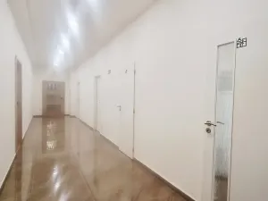 Pronájem kanceláře, Brno, Sukova, 51 m2