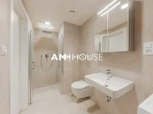 Pronájem bytu 1+kk, Praha - Žižkov, Šrámkové, 36 m2