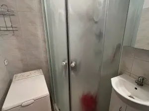 Pronájem bytu 3+1, Kozlovice, 70 m2