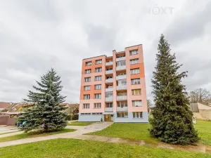 Pronájem bytu 1+kk, Nová Včelnice, Na Hliněnce, 25 m2