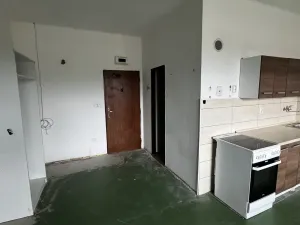 Prodej bytu 1+kk, Zruč nad Sázavou, Mládeže, 33 m2