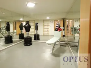 Pronájem rodinného domu, Praha - Jinonice, U panské zahrady, 258 m2