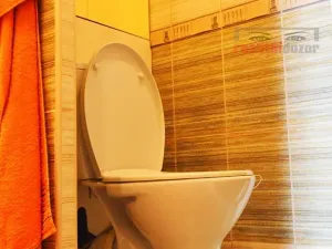 Pronájem bytu 1+1, Brno, Kuršova, 41 m2