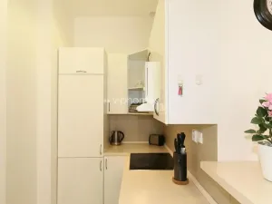 Pronájem bytu 1+kk, Praha - Vinohrady, Belgická, 42 m2