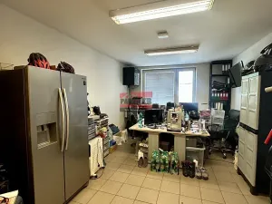 Prodej skladu, Netolice, 11709 m2
