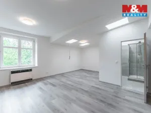 Pronájem bytu 1+kk, Praha - Vysočany, Novovysočanská, 38 m2
