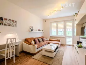 Prodej bytu 2+1, Brno, Horní, 55 m2