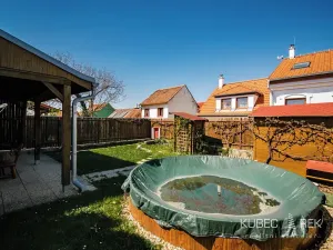 Prodej vinného sklepa, Prušánky, Nechory, 80 m2