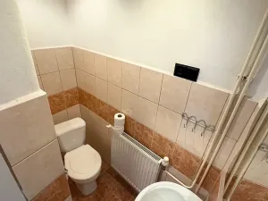 Prodej vily, Nová Včelnice, 225 m2