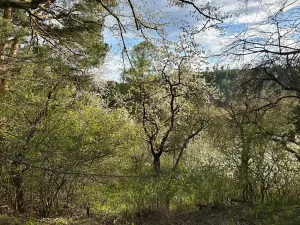 Prodej chaty, Prostějovičky, 47 m2
