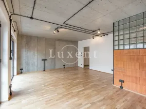 Pronájem bytu 1+kk, Praha - Radlice, Pechlátova, 50 m2