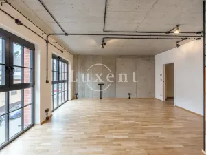 Pronájem bytu 1+kk, Praha - Radlice, Pechlátova, 50 m2