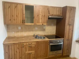 Pronájem bytu 1+1, Mirošov, 45 m2