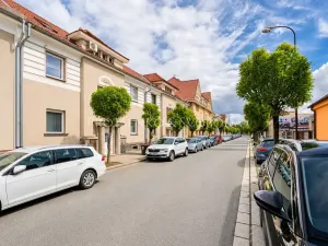 Prodej bytu 1+1, Kolín, U Borků, 58 m2
