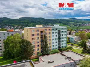 Prodej bytu 1+1, Děčín - Děčín VI-Letná, Školní, 40 m2
