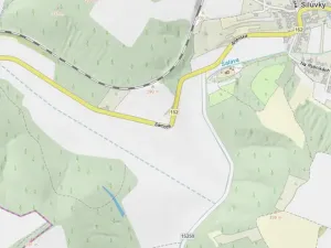 Prodej lesa, Silůvky, 1519 m2