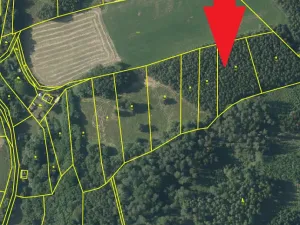 Prodej pole, Sázava - Čeřenice, 14206 m2