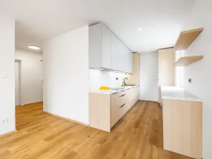 Prodej bytu 3+kk, Praha - Horní Měcholupy, Janovská, 76 m2