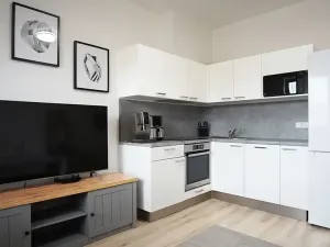 Pronájem bytu 1+kk, Brno, Gajdošova, 33 m2