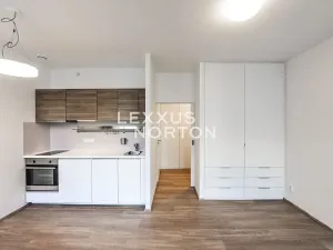 Pronájem bytu 1+kk, Praha - Vinohrady, Lucemburská, 30 m2