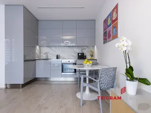 Pronájem bytu 2+kk, Hradec Králové - Nový Hradec Králové, Antonína Petrofa, 45 m2