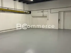 Pronájem výrobních prostor, Brno, 698 m2