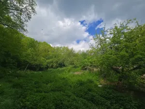 Prodej rodinného domu, Stará Ves, 300 m2