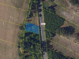 Dražba lesa, Česká Bělá, 645 m2