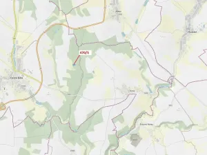 Dražba lesa, Česká Bělá, 2751 m2