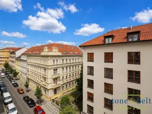 Pronájem bytu 4+kk, Praha - Nové Město, Lublaňská, 90 m2
