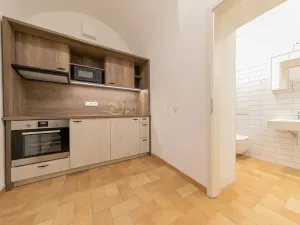 Pronájem bytu 1+1, Olomouc, Šemberova, 30 m2