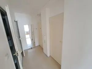 Prodej bytu 2+1, Brno, Plevova, 50 m2