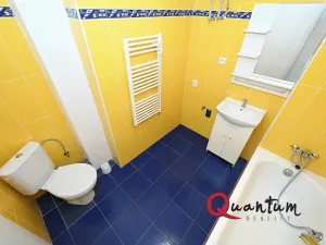 Pronájem bytu 1+kk, Praha - Vinohrady, Fričova, 31 m2