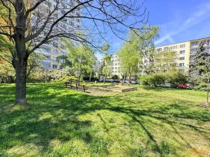 Prodej bytu 3+1, Praha - Strašnice, Pod strání, 68 m2