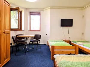 Prodej ubytování, Třinec, Husova, 360 m2