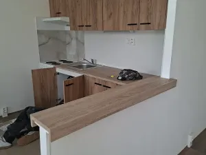 Pronájem bytu 3+1, Teplice, Bohosudovská, 55 m2