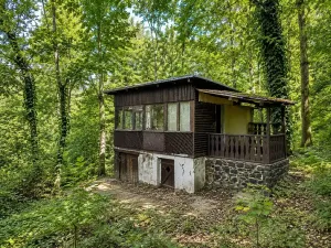 Prodej chaty, Koštice, 28 m2