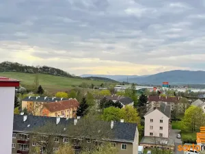 Pronájem bytu 1+1, Ústí nad Labem, Zahradní, 33 m2