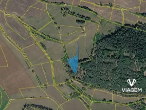 Prodej lesa, Nečín, 2595 m2