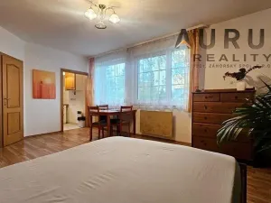 Pronájem bytu 1+kk, Praha - Radotín, Sobětická, 30 m2